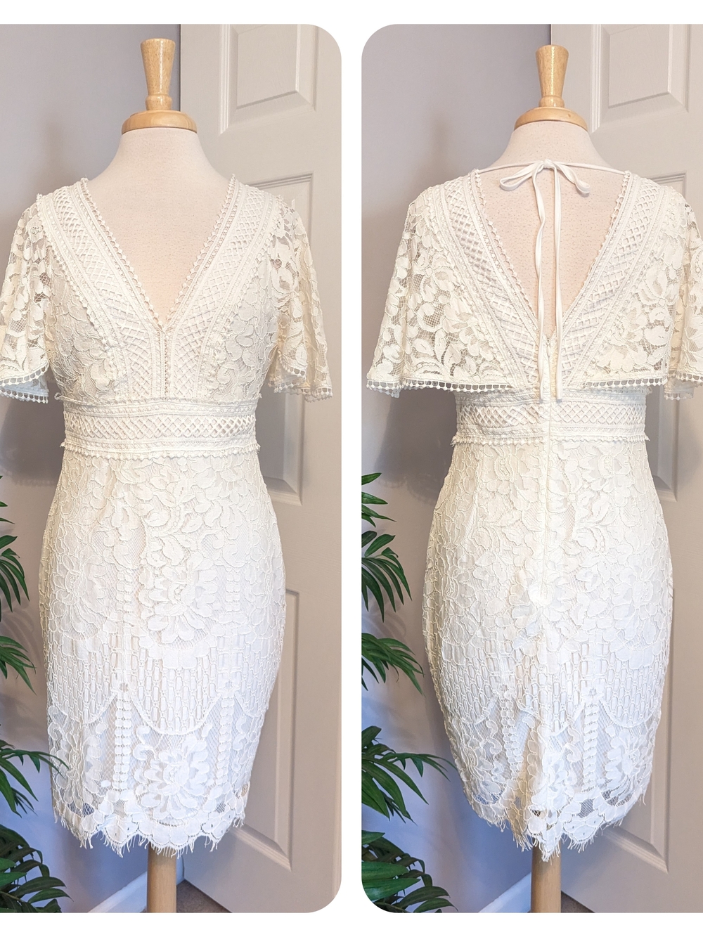 Main Strip White Lace Flutter Sleeve Knee Length Cocktail Dress Large